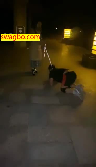 【10.09】TJ:户外遛狗(小区楼下)【15分钟】【美雅S】