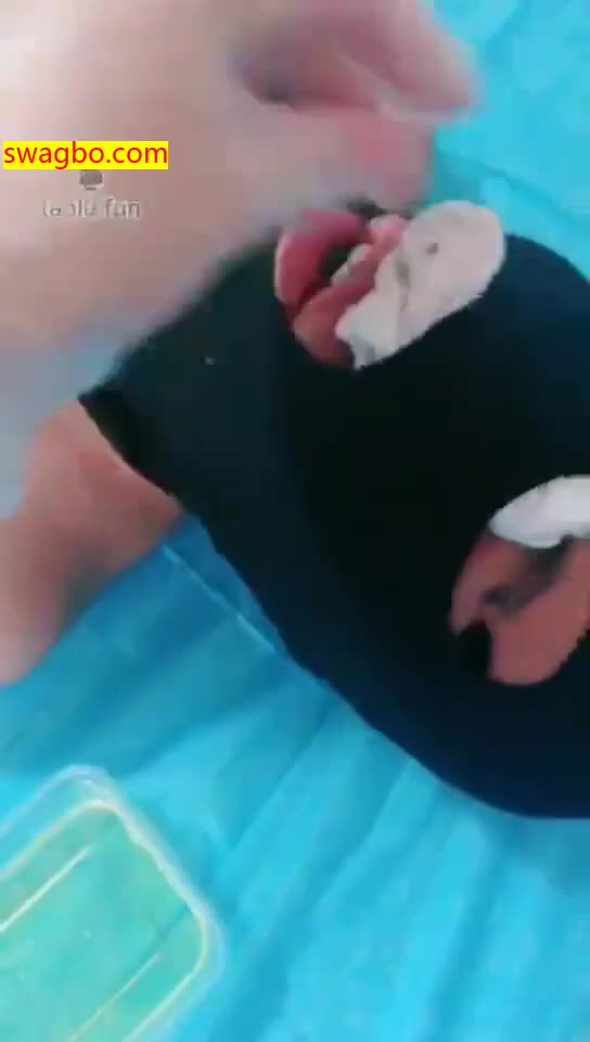 【1月】臭棉袜圣水羞辱厕奴【冷颜女王】【22分钟】