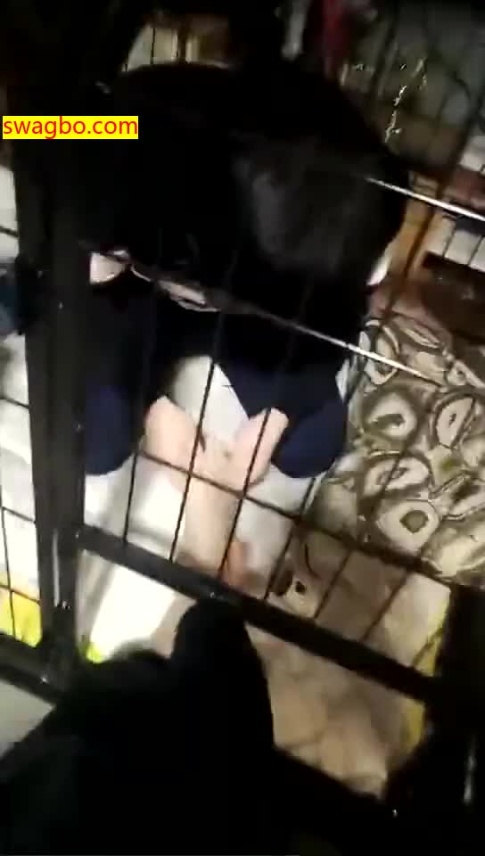 【Verin维因】御姐长靴舔脚舔鞋【54分钟】