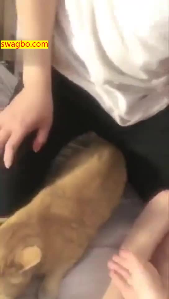 【梦二】深夜虐哭奶狗男朋