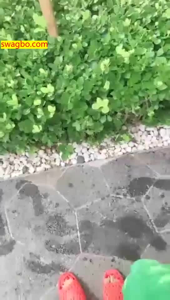 【歌迪丝S】温泉公开课,母狗爬骑舔【37分钟】【高清】