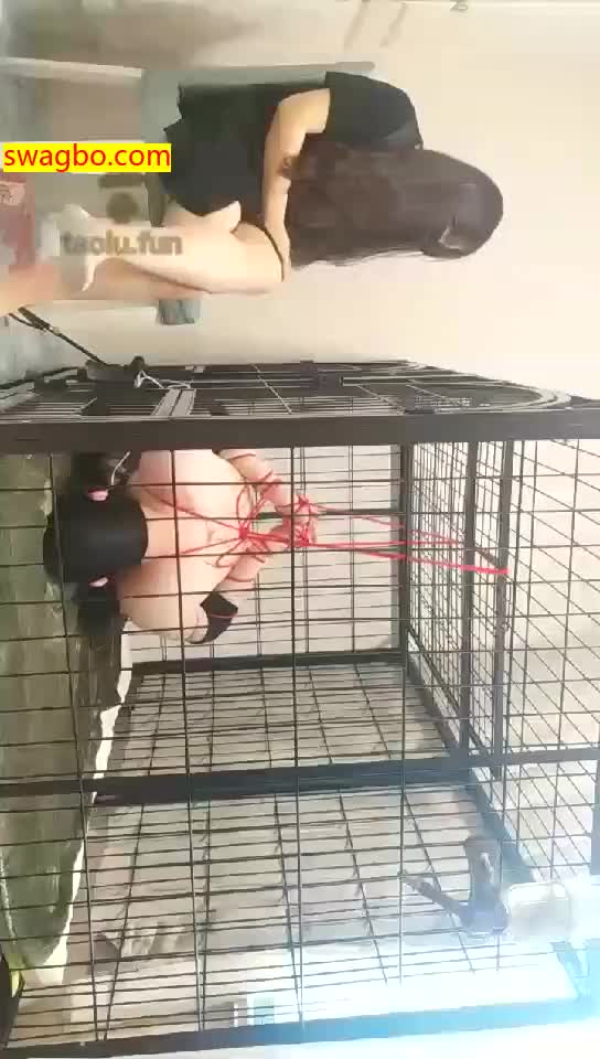 【Verin维因】虐哭,电奴,双S【77分钟】