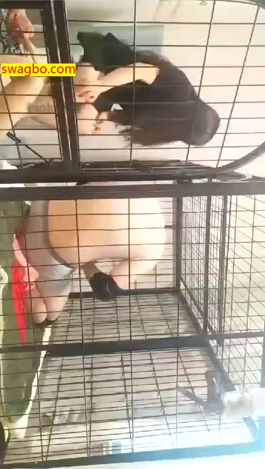 【Verin维因】虐哭,电奴,双S【77分钟】