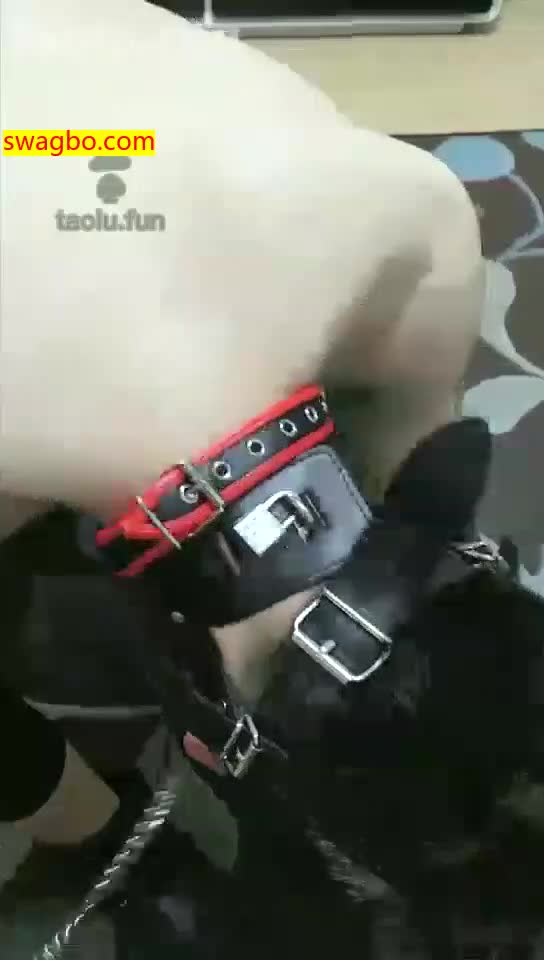 【囍s娘娘】你姑奶奶的狗全副武装(官方已删)【39分钟】【高清】