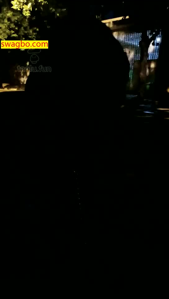 【冷色S】野外玩狗【38分钟】【高清】