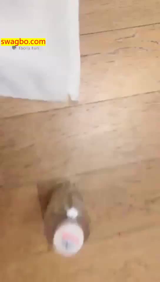 【冷颜女王】暴虐开发学生狗,长靴原味短肉丝,口水耳光鞭打圣水【80分钟】【标清】