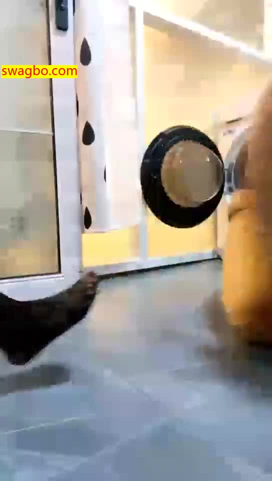 【小公主lios】窒息深喉贱狗吐的好惨【32分钟】