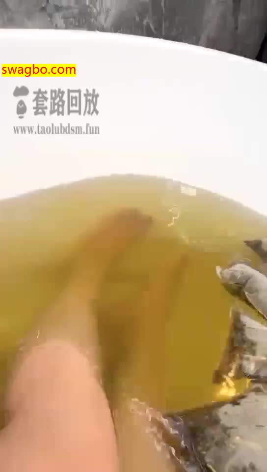 【蜜桃儿S】浴缸调教(10.17)(独家)【35分钟】