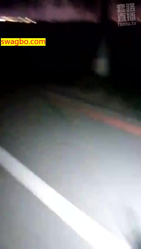 野外遛狗，野外学狗尿尿_20181107214934-美煞娇爷
