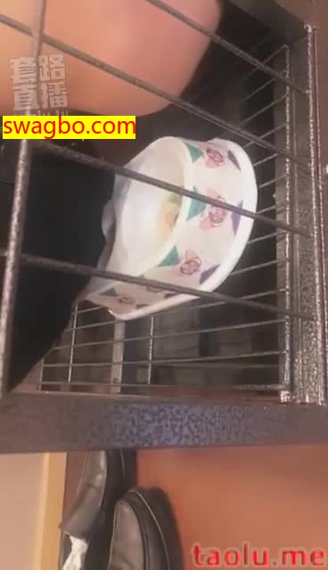 升水泡狗粮.折磨笼子里的人型狗畜-歌迪丝S_201812220109191