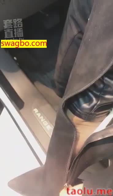 4S店带狗看车-歌迪丝S_201812220106151