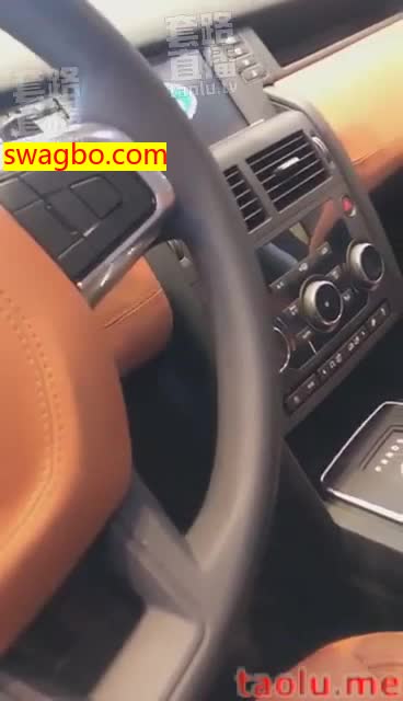 4S店带狗看车-歌迪丝S_201812220106151