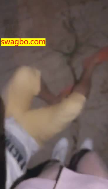 野外调狗,速度围观-31420181224004408