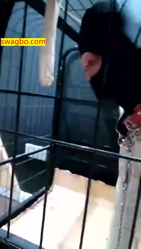 狗笼才是你呆的地方_8_-弱水三千s30001