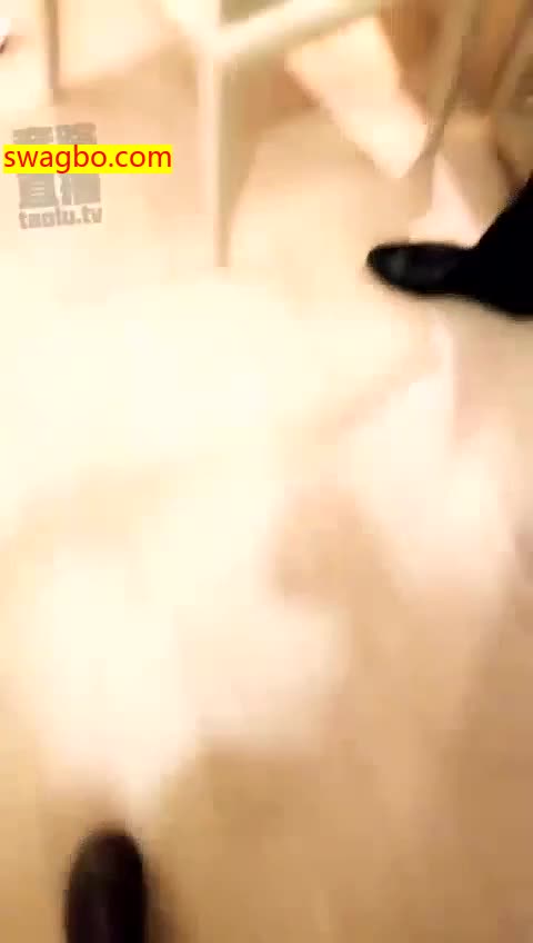 只配舔浓痰的贱畜__-Vinnie维妮1