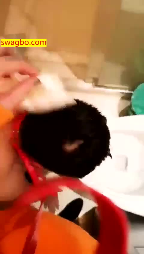 喝圣水的贱鸭子_5_-晓晓晓主子s1