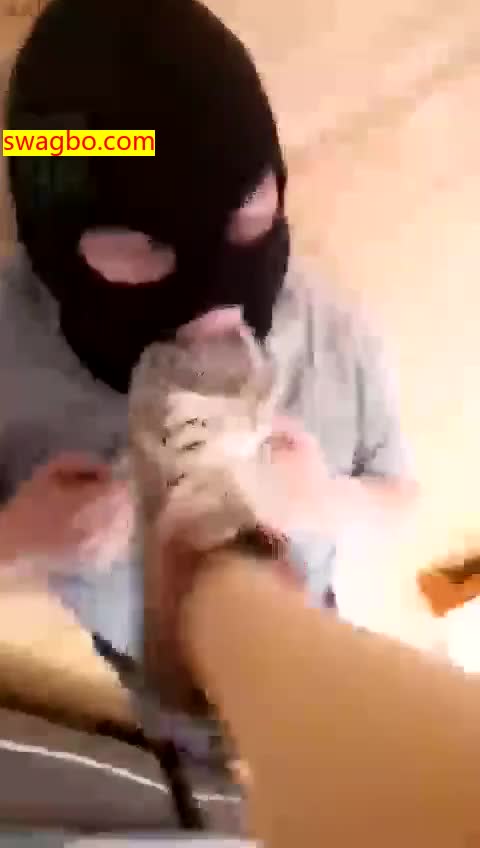 丝袜直接圣水就厕纸一起吃__-晓晓晓主子s1