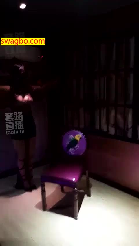 维叮当的真实身份是____-Vickia维亚1