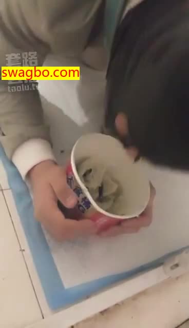 玩弄圈养狗狗_74-安娜公主1