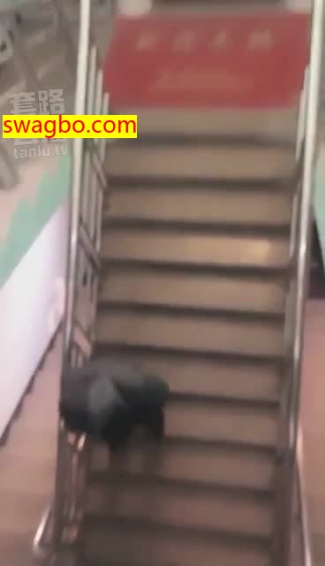 圣水都不敢在外面喝,胆小懦弱的奴_64-悦耳1