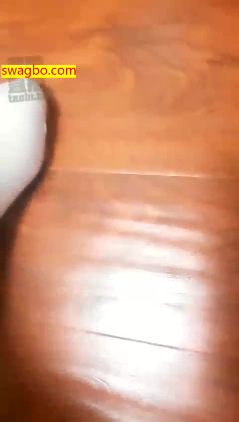 和主人在一起的日子_心路历程_【妆主大大】