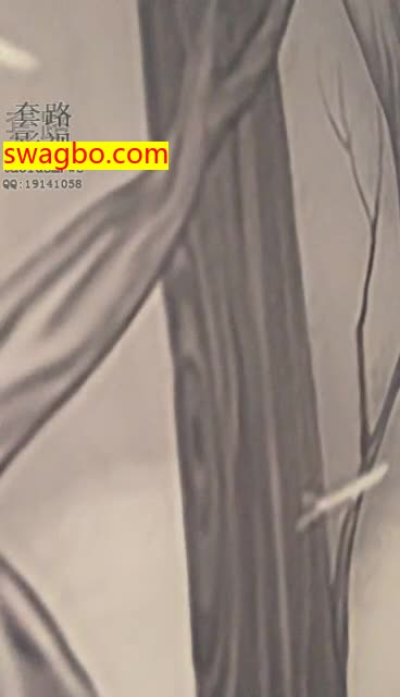 玩玩大鹏儿子【摇摇殿下】