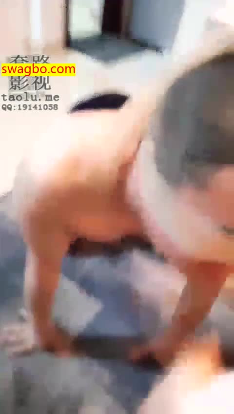 【修复】tj_贱b窝囊废,劳资扇死你【凌夏仙女S】