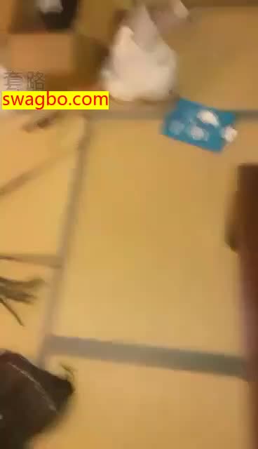 随性玩【维依y】