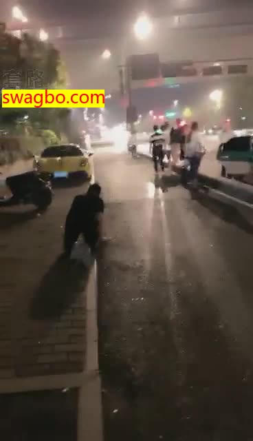 户外爬行找路人磕头围观超多【莫妮卡卡dom】