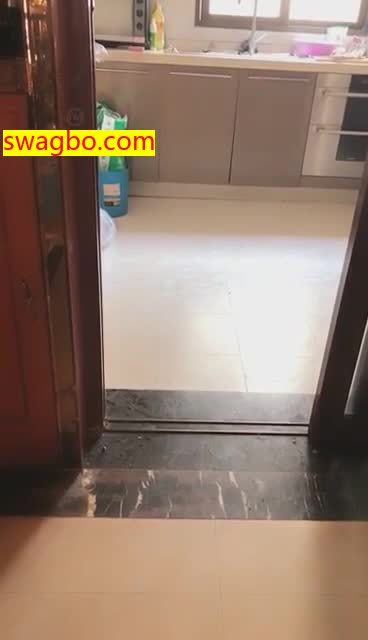 龙在飞挑战家特尔比谁更有奴性