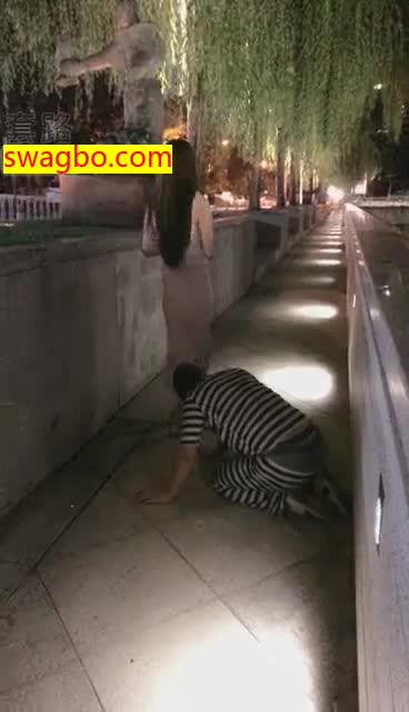 【8.16】户外训练家狗爬行【18分】【V神】