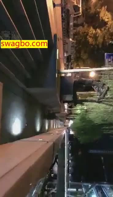 【8.16】户外训练家狗爬行【18分】【V神】