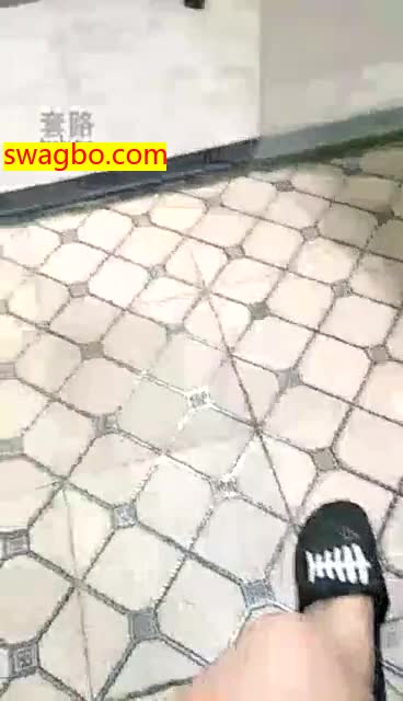 【8.2】等待圣水给狗子喝【诺小主】