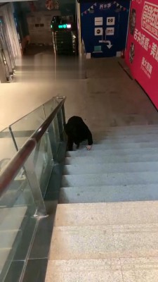 【橘子没熟】母狗闺蜜挑战户外【下】 bf19247