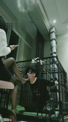 【猫神大人】狗笼囚禁废物狗 bf13376