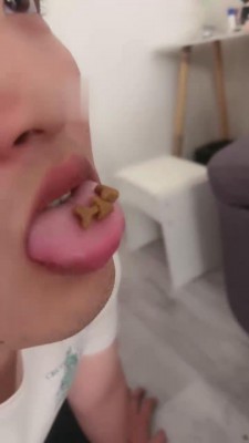 【芸熙】日常训双狗 bf12870