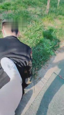 【魅影女神】羞辱虐待强迫 bf3494