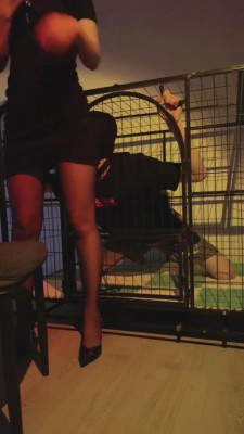 【书瑶瑶瑶】狗笼调教圈养喂食圣水【上】 bf7542