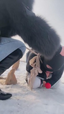 【思诺】雪地的一场遛狗之旅 bf9061