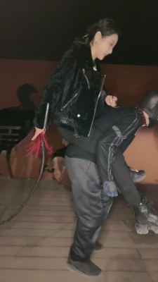 【鑫儿教头】户外公开军训爬行犬 bf11262