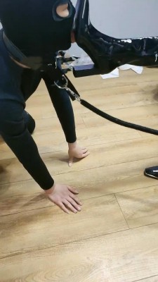 【青岛00后大学生】学生情侣主第一次调乖狗狗 bf11348