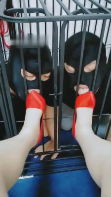 【魔鬼天使女王】双狗争宠实录 bf8069