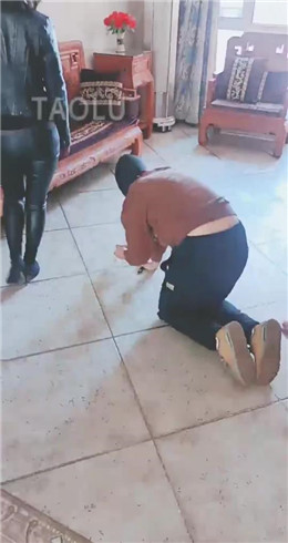 【羽诺】户外遛狗 JS2203153