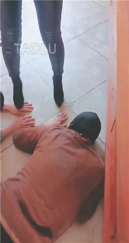 【羽诺】户外遛狗 JS2203153