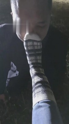 【滔滔】户外遛狗骑马踩踏喂食 bf4295