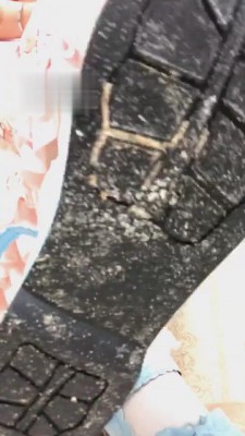 【兔粉粉】在狗子身上碾压饼干 bf2591