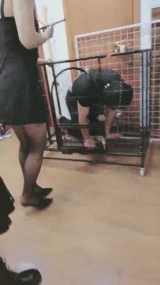 【雪瑶大大】贱狗快到笼里来【双视角版】 bf15806