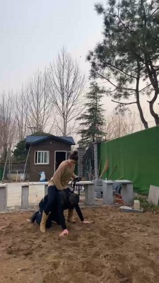 套路直播视频【星染】户外强迫狗舔超脏泥土鞋底/叼袜子遛狗【续集】 bf24629