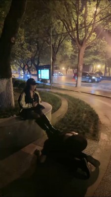 【傲雪】深夜户外遛狗犬化训练 bf27150