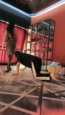 【咩祖】双S-SM主题酒店圈养犬化 bf27905